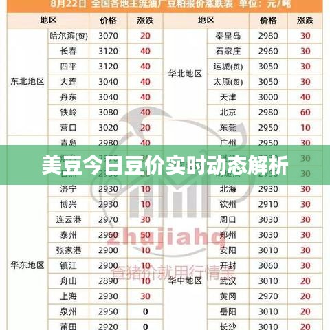 美豆今日豆价实时动态解析