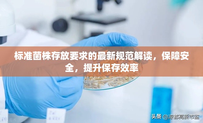 标准菌株存放要求的最新规范解读，保障安全，提升保存效率