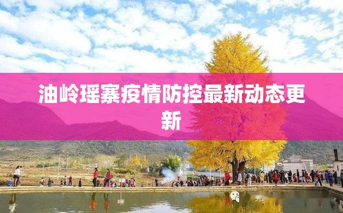油岭瑶寨疫情防控最新动态更新