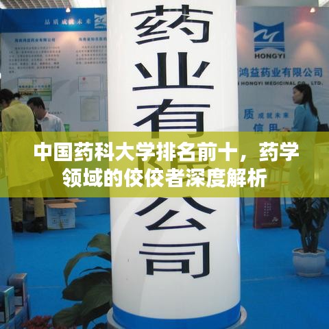 中国药科大学排名前十，药学领域的佼佼者深度解析