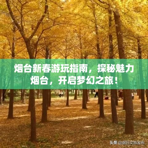 烟台新春游玩指南，探秘魅力烟台，开启梦幻之旅！