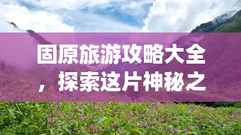 固原旅游攻略大全，探索这片神秘之地的最佳行程！