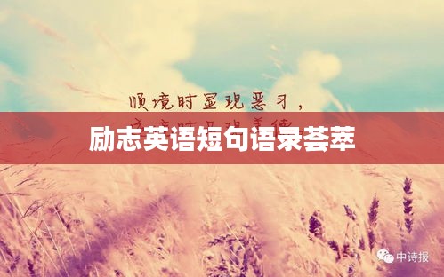 一张一翕