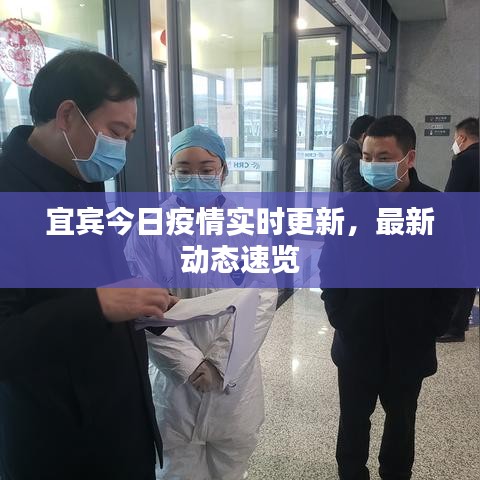 宜宾今日疫情实时更新，最新动态速览