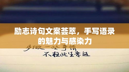 战天斗地