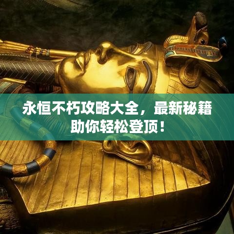 永恒不朽攻略大全，最新秘籍助你轻松登顶！