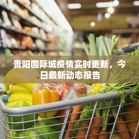 贵阳国际城疫情实时更新，今日最新动态报告
