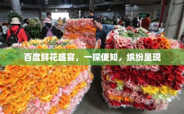 百度鲜花盛宴，一探便知，缤纷呈现