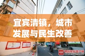 鸟骇鼠窜