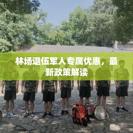 林场退伍军人专属优惠，最新政策解读