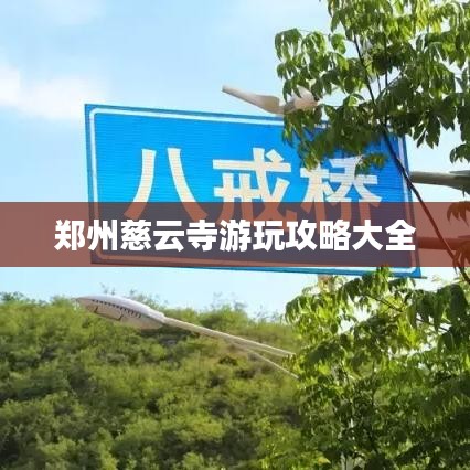 展翅欲飞