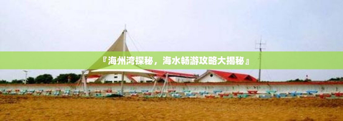 明目张胆