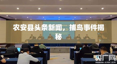 农安县头条新闻，捕鸟事件揭秘