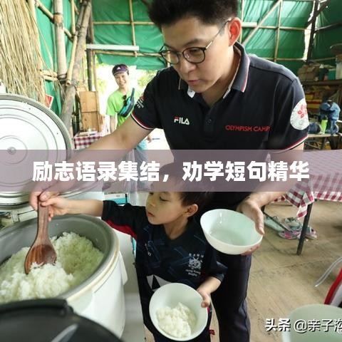 励志语录集结，劝学短句精华