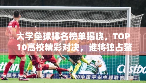 大学垒球排名榜单揭晓，TOP 10高校精彩对决，谁将独占鳌头？