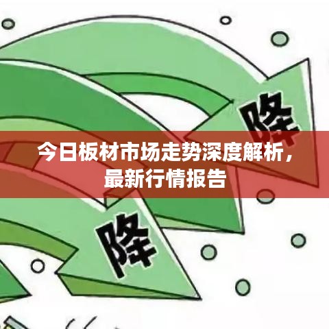 今日板材市场走势深度解析，最新行情报告