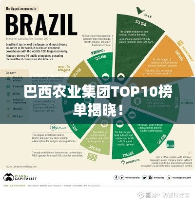 巴西农业集团TOP10榜单揭晓！