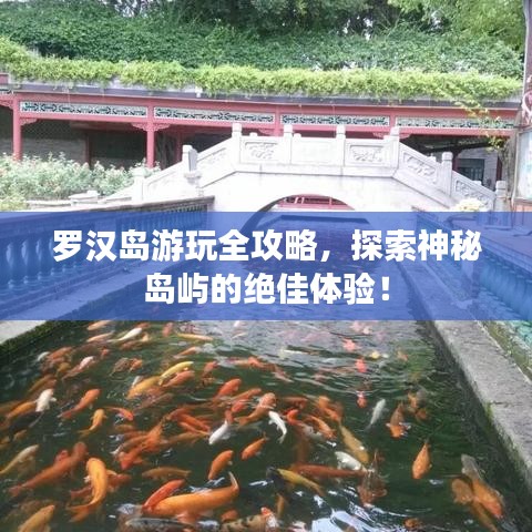 罗汉岛游玩全攻略，探索神秘岛屿的绝佳体验！
