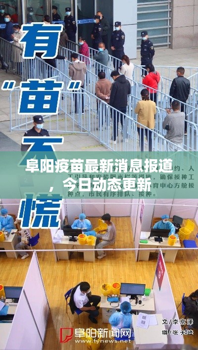 阜阳疫苗最新消息报道，今日动态更新