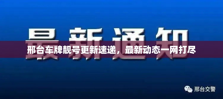 邢台车牌靓号更新速递，最新动态一网打尽