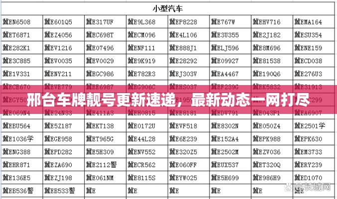 邢台车牌靓号更新速递,最新动态一网打尽