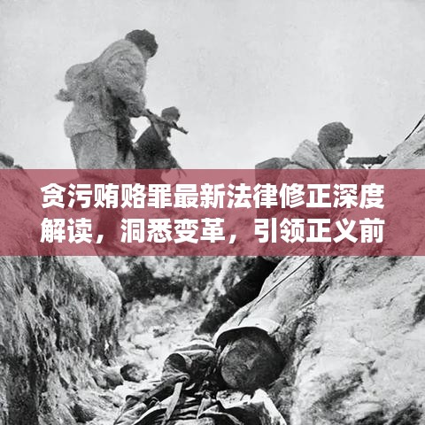 贪污贿赂罪最新法律修正深度解读，洞悉变革，引领正义前行