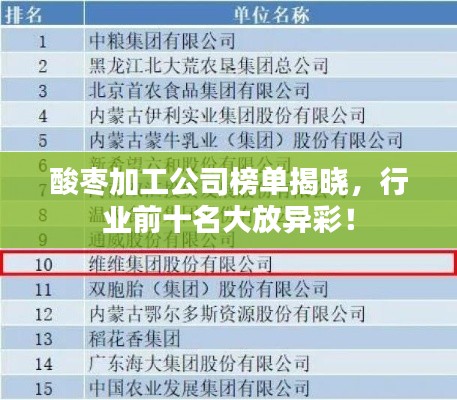 酸枣加工公司榜单揭晓，行业前十名大放异彩！
