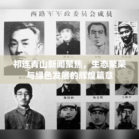 祁连青山新闻聚焦，生态繁荣与绿色发展的辉煌篇章