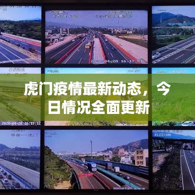 虎门疫情最新动态，今日情况全面更新