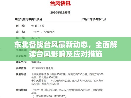 东北备战台风最新动态，全面解读台风影响及应对措施