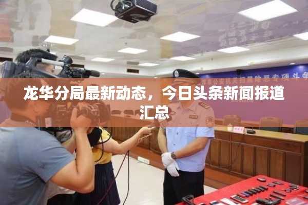 龙华分局最新动态，今日头条新闻报道汇总
