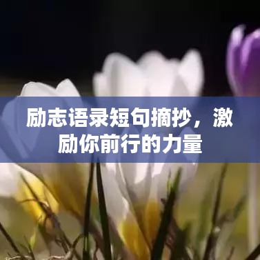 励志语录短句摘抄，激励你前行的力量