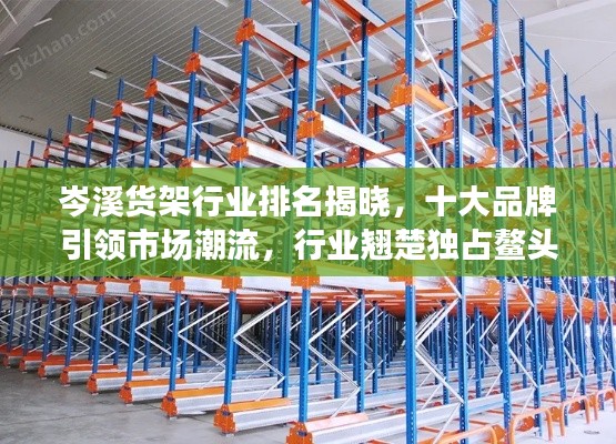 岑溪货架行业排名揭晓，十大品牌引领市场潮流，行业翘楚独占鳌头！