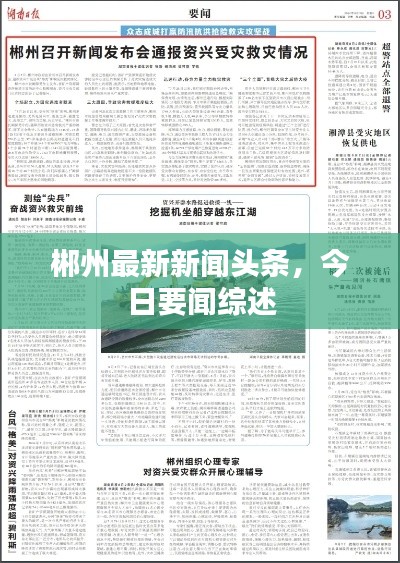 郴州最新新闻头条，今日要闻综述
