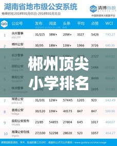 郴州顶尖小学排名TOP10及教育优势深度解析