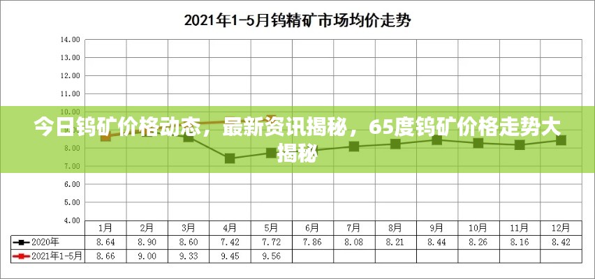 今日钨矿价格动态，最新资讯揭秘，65度钨矿价格走势大揭秘