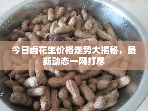 今日卤花生价格走势大揭秘，最新动态一网打尽