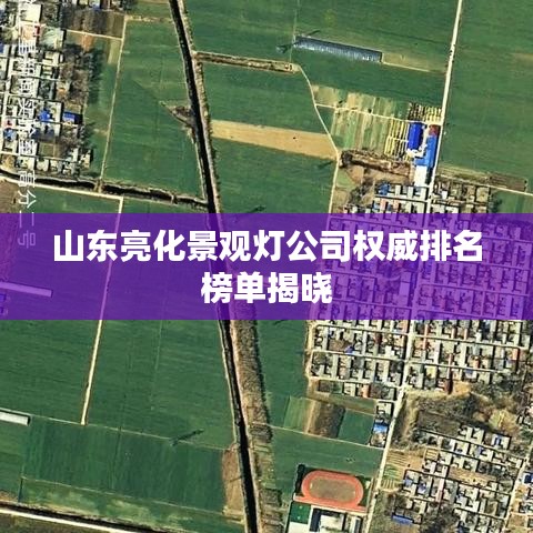 山东亮化景观灯公司权威排名榜单揭晓