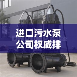 进口污水泵公司权威排名榜单揭晓！