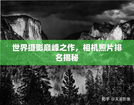 世界摄影巅峰之作，相机照片排名揭秘