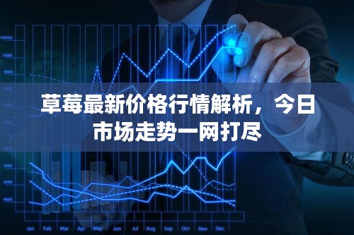 草莓最新价格行情解析，今日市场走势一网打尽