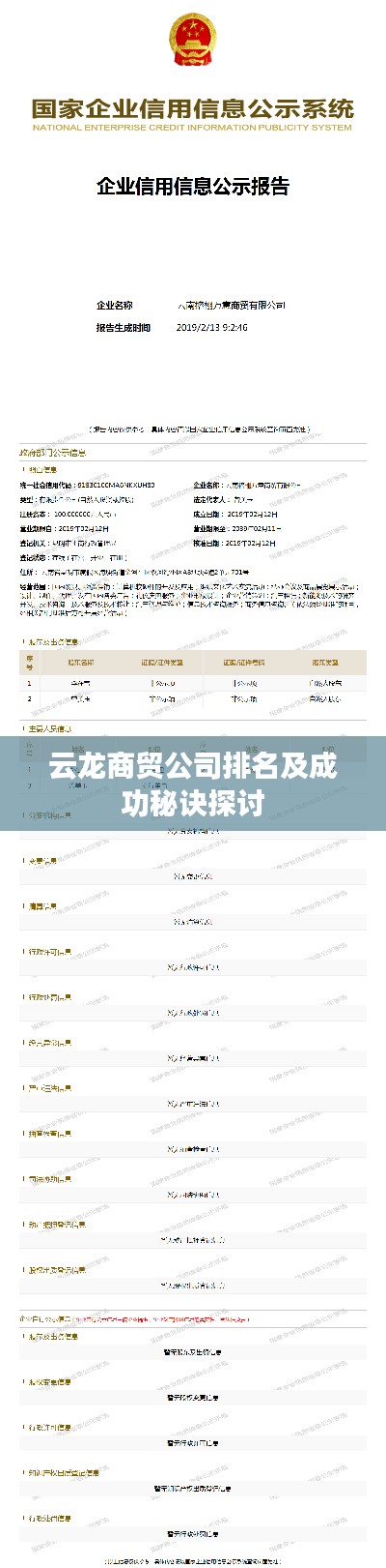 云龙商贸公司排名及成功秘诀探讨