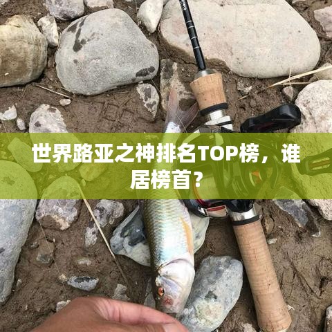 世界路亚之神排名TOP榜，谁居榜首？
