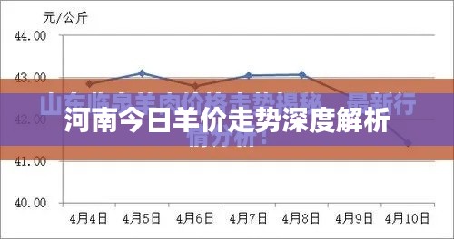 河南今日羊价走势深度解析
