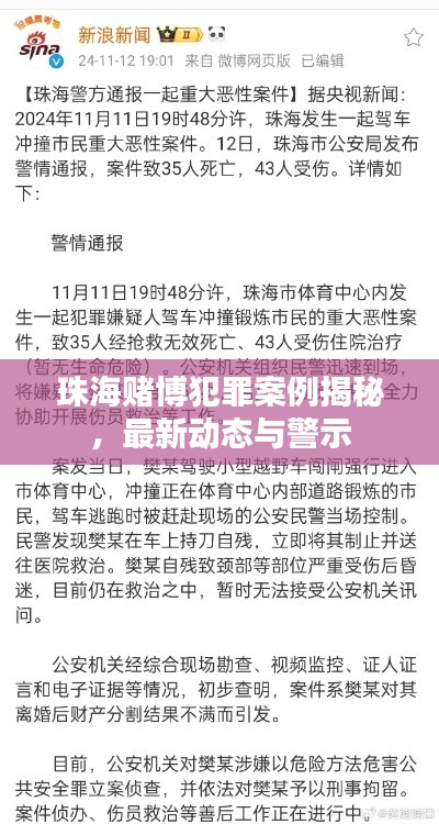 珠海赌博犯罪案例揭秘，最新动态与警示