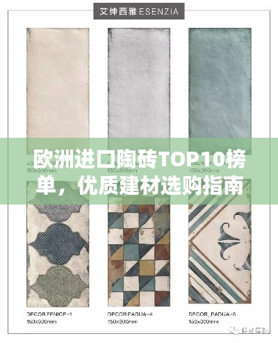 欧洲进口陶砖TOP10榜单，优质建材选购指南