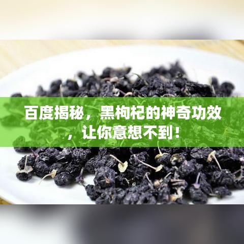百度揭秘，黑枸杞的神奇功效，让你意想不到！