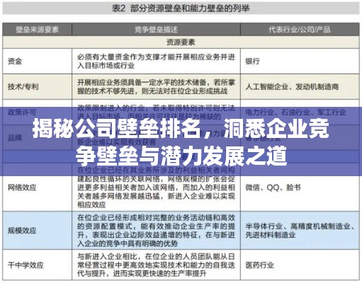 揭秘公司壁垒排名，洞悉企业竞争壁垒与潜力发展之道