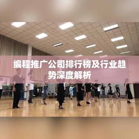 编程推广公司排行榜及行业趋势深度解析