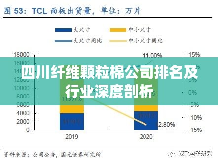 四川纤维颗粒棉公司排名及行业深度剖析